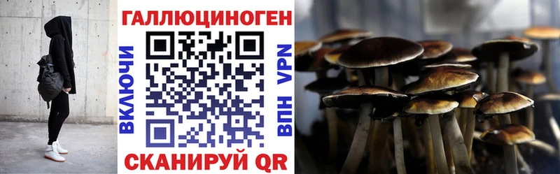 закладка  Мураши  Галлюциногенные грибы Cubensis 
